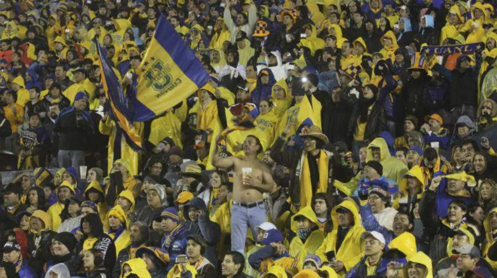 afición tigres